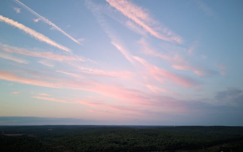Cotton Candy - Rhode Island