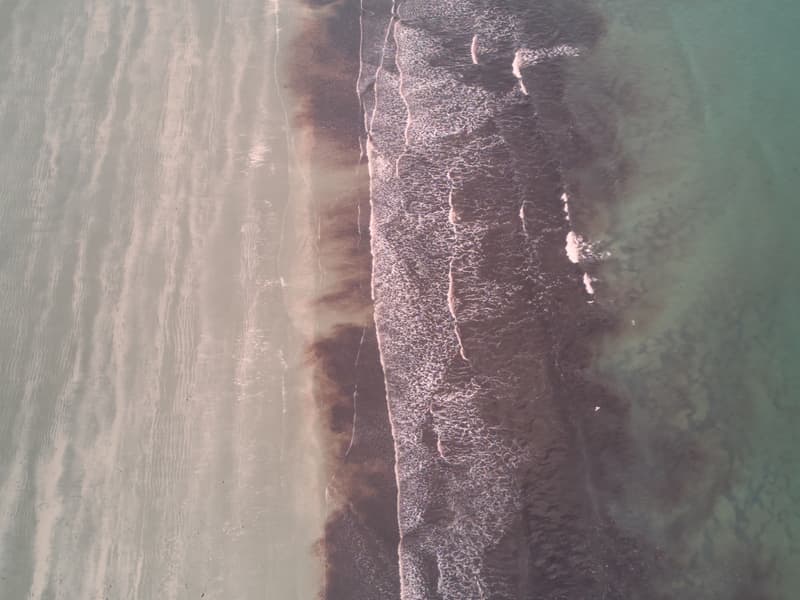 Red Tide Shoreline - Easton Beach, Newport, Rhode Island