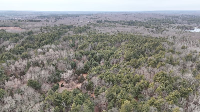 Jan 14 2026: Untouched woodland. - North Smithfield, Rhode Island
